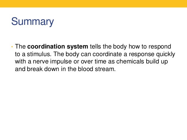 essay on the human body systems essay on the human body systems